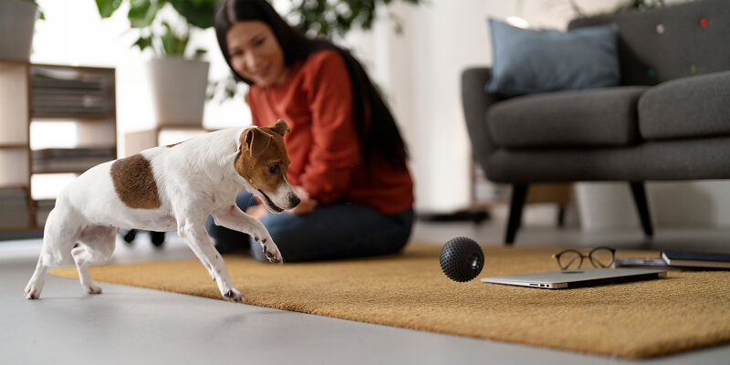 How Often Do You Need to Clean Your Area Rugs