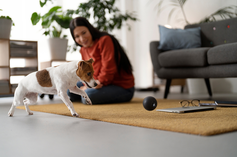 How Often Do You Need to Clean Your Area Rugs